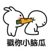 小粉红