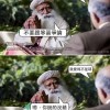 习查理