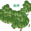 积恶成习