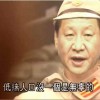 江蛤蛤的小安子