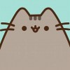 cn_explorer