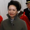疯狂彭丽媛