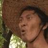 嗷嗷待噶的韭菜
