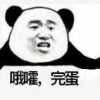双飞姐妹花