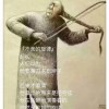 随便你们