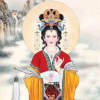 特纳多