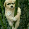 不墨迹