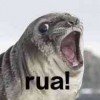 canimal