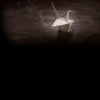flyforg2071