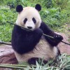 致君福万