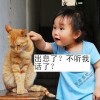 清梦客