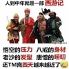 纯品葱