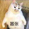 星爷9898