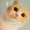 js美人