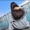 繁华一品