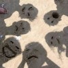 慕同木同