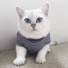 頭都大了