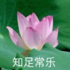 chenwei88