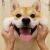 八百标兵奔北坡