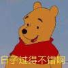 电脑大爆炸