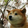 乱七八糟