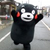 yangmao
