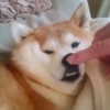 一個很識趣的人