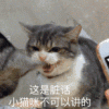 您说的对
