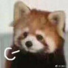 橘子好吃
