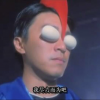 柴油老猫