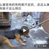 屑皇包