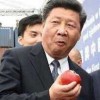 夜不明
