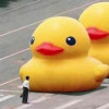 靡靡之音