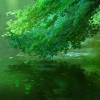 科普君