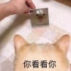 晓白