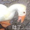 炸鸡真好吃啊