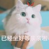 啊呜