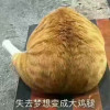 nanahayashi