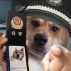 雪野文晴