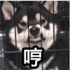 choumeimei