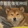 LogicM