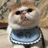 雪利刀剑