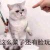 故乡的Yamato沉了