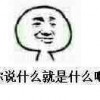 冰邦外交交冰邦