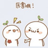 共和国公民