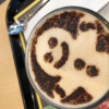 CamelYuan