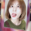 新垣结衣老公