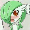 射月小喵