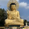 山渣餅