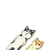 flycat